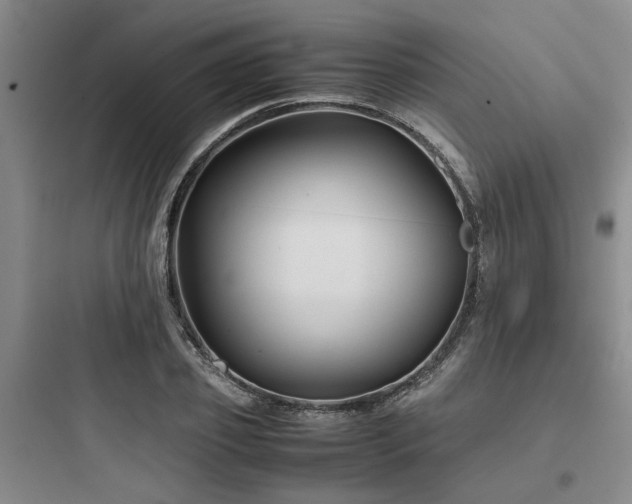 X0000097900933200803211438