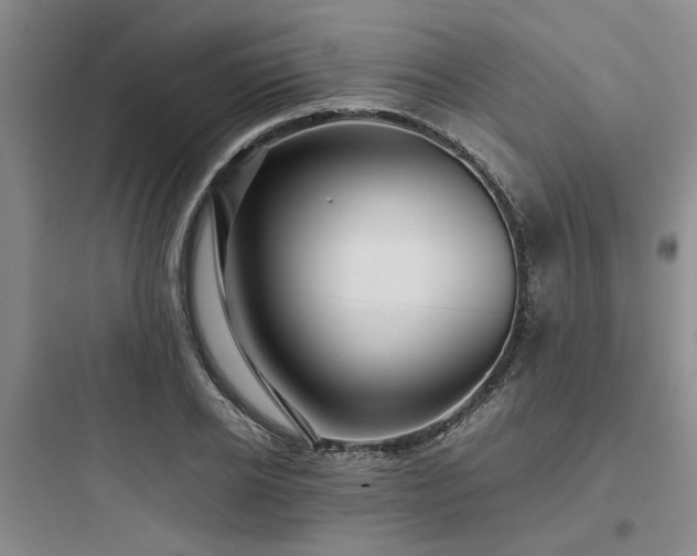 X0000097900934200803211438