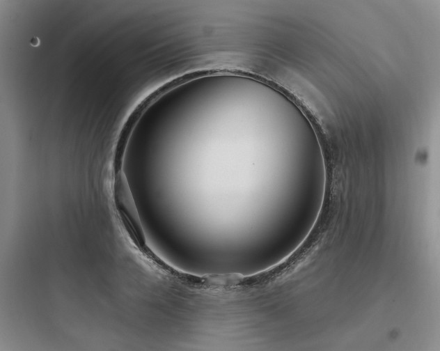 X0000097900936200803211438
