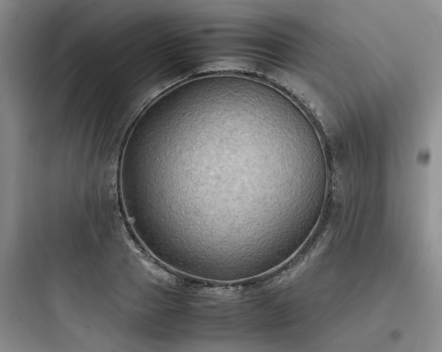 X0000097900937200803211438