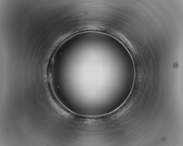 X0000097900938200803211438