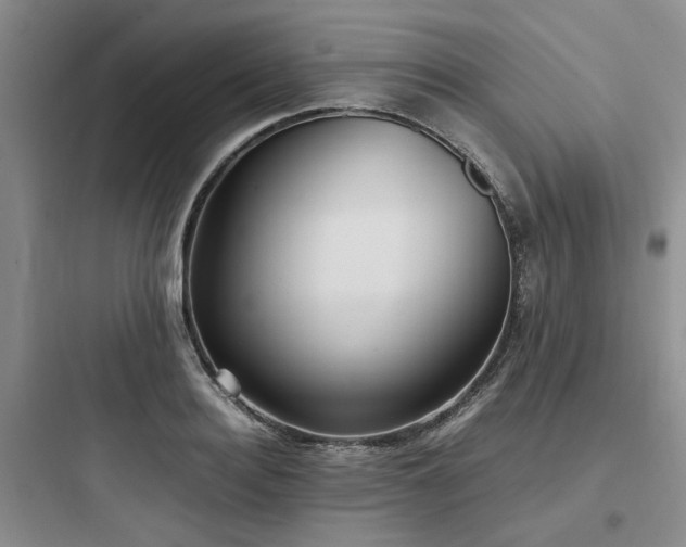X0000097900940200803211438