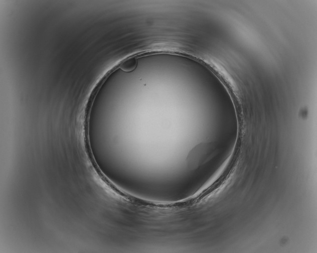 X0000097900941200803211438