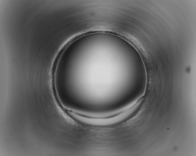 X0000097900942200803211438