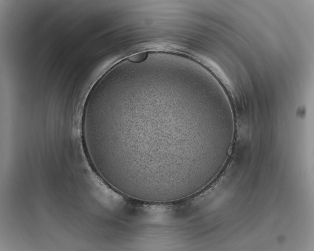 X0000097900946200803211438