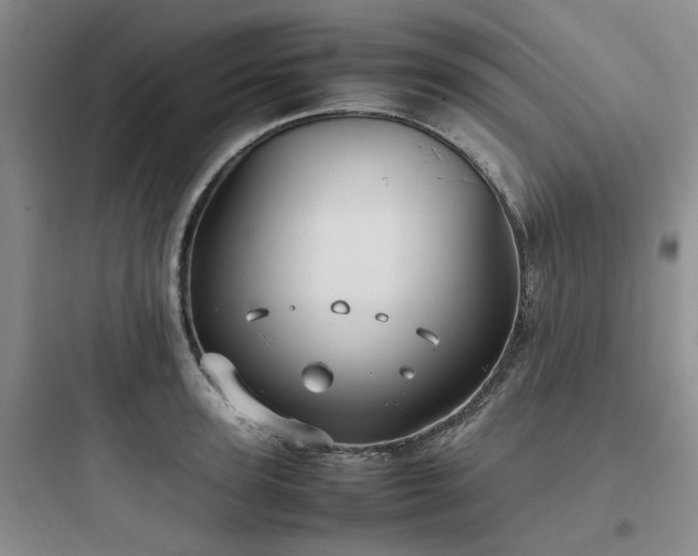 X0000097900947200803211438