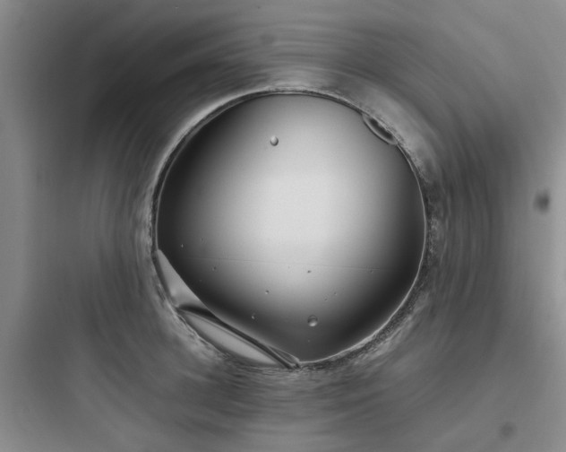 X0000097900948200803211438