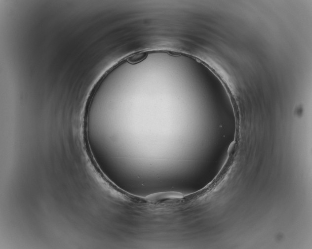 X0000097900949200803211438