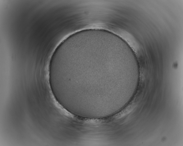 X0000097900950200803211438