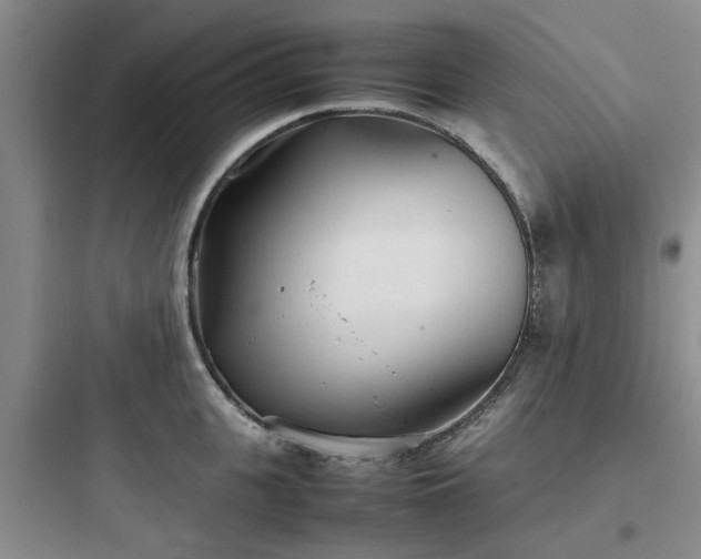 X0000097900951200803211438