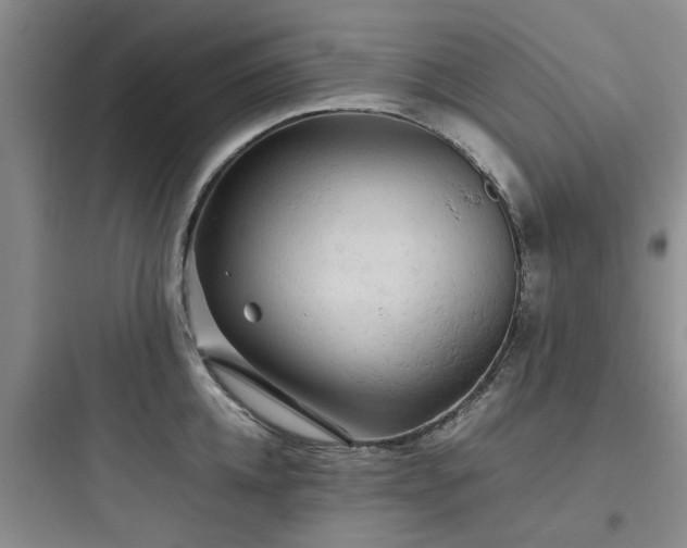 X0000097900952200803211438