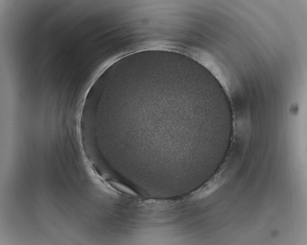 X0000097900954200803211438