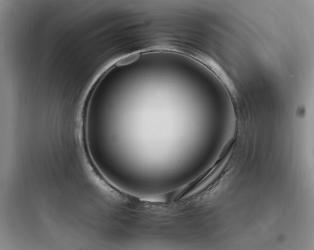 X0000097900955200803211438
