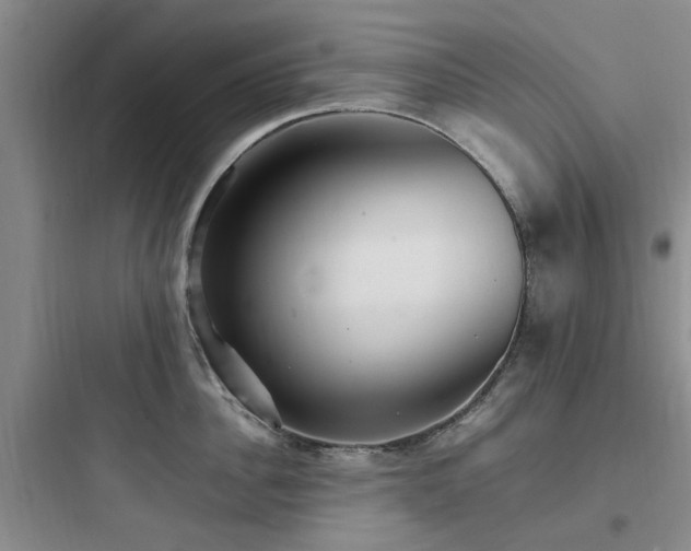 X0000097900956200803211438