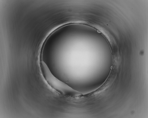 X0000097900959200803211438