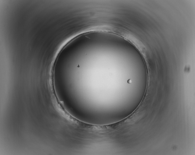 X0000097900960200803211438