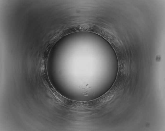X0000097900962200803211438
