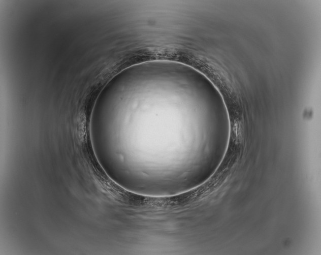X0000097900963200803211438