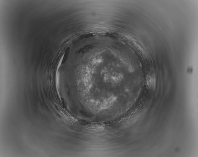 X0000097900964200803211438