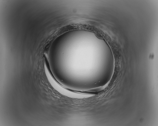 X0000097900965200803211438