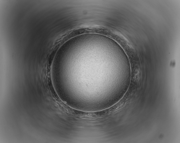 X0000097900966200803211438