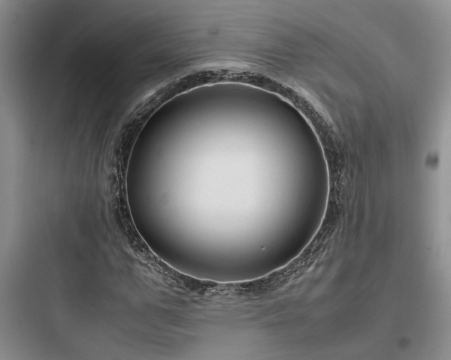 X0000097900967200803211438