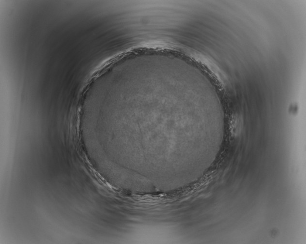 X0000097900968200803211438