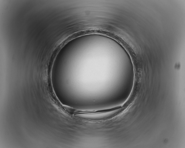 X0000097900969200803211438
