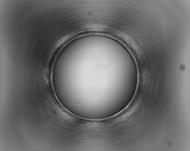 X0000097900970200803211437