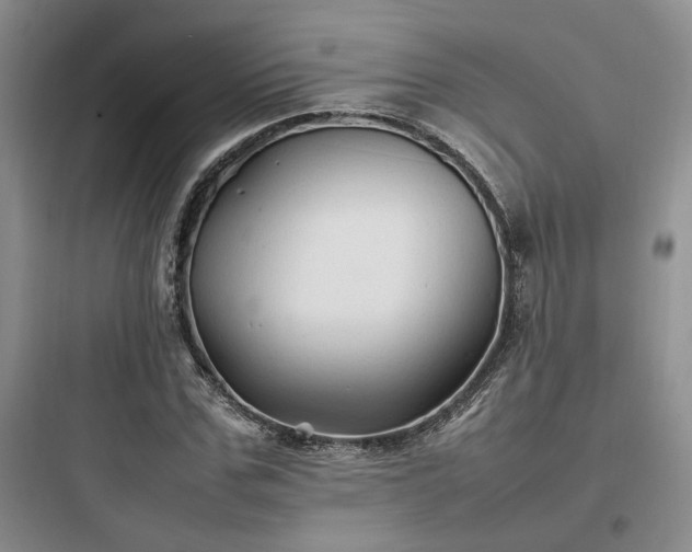 X0000097900971200803211437