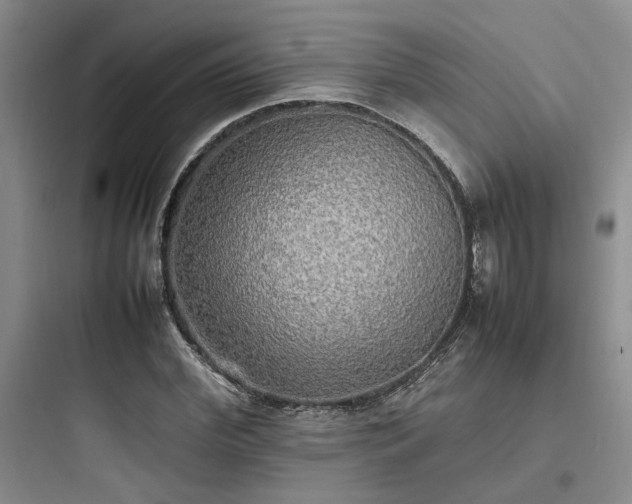 X0000097900972200803211437