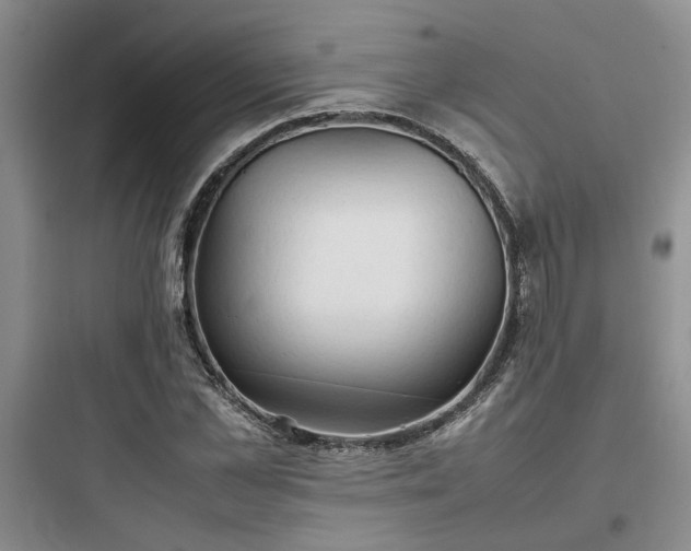 X0000097900973200803211437