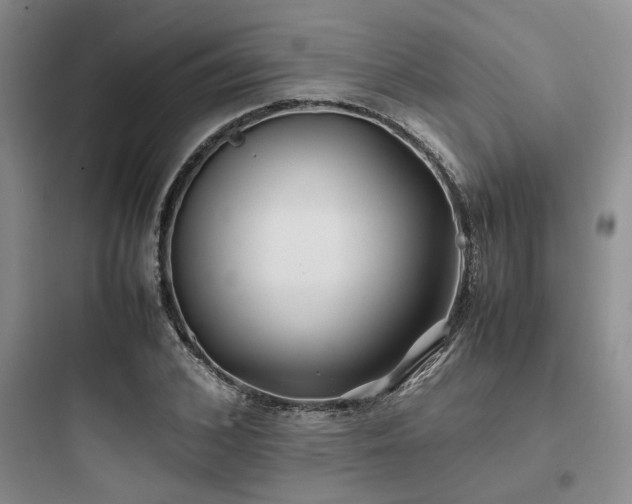 X0000097900976200803211437