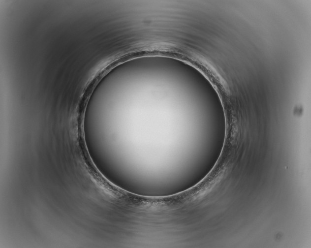X0000097900978200803211437