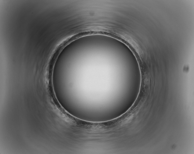 X0000097900979200803211437