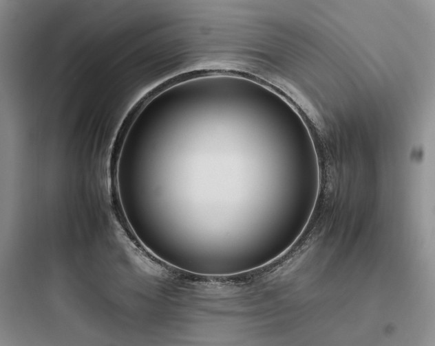 X0000097900980200803211437