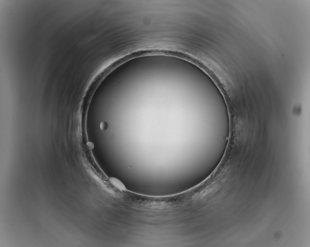X0000097900982200803211437