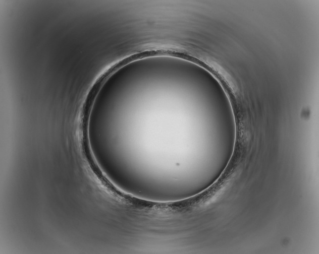 X0000097900983200803211437