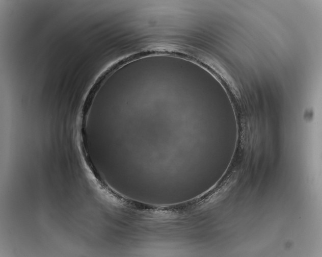 X0000097900984200803211437