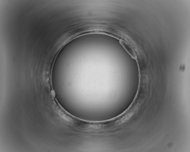 X0000097900985200803211437