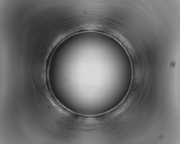 X0000097900986200803211437