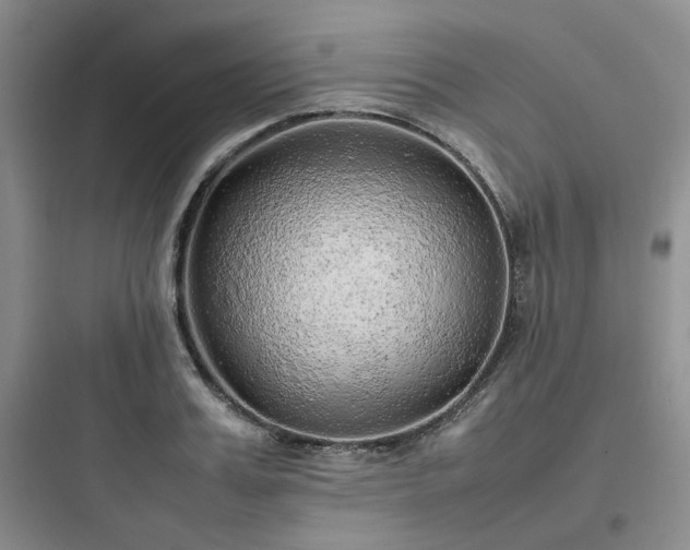 X0000097900987200803211437