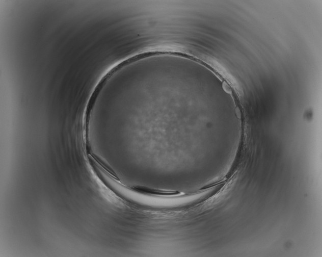 X0000097900988200803211437
