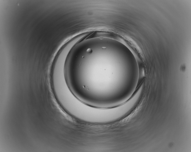 X0000097900989200803211437