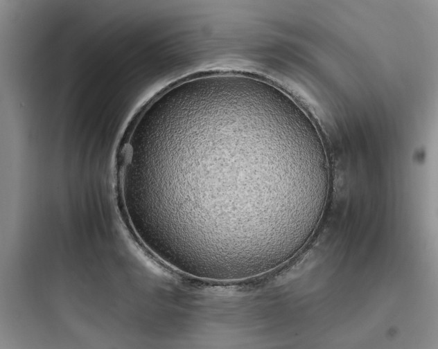 X0000097900990200803211437