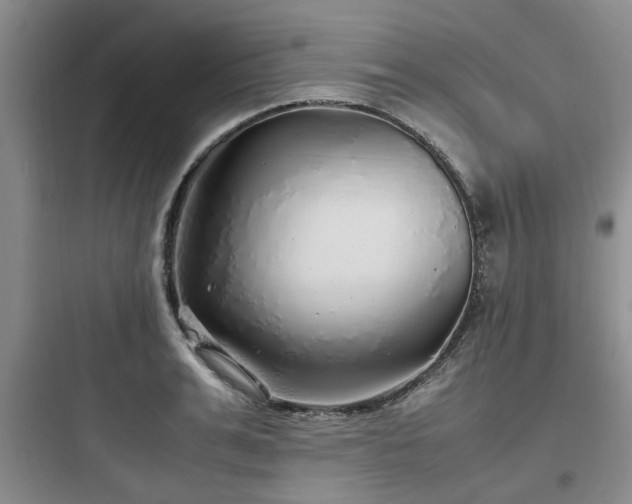 X0000097900991200803211437