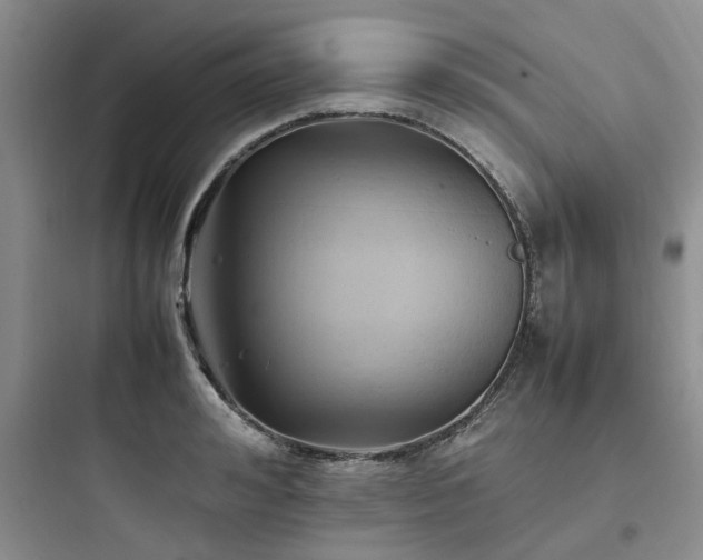 X0000097900992200803211437
