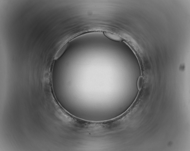 X0000097900993200803211437