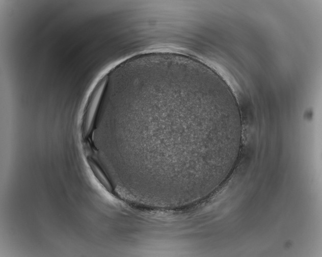 X0000097900995200803211437