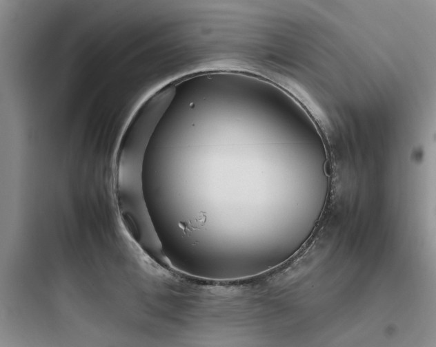 X0000097900996200803211437
